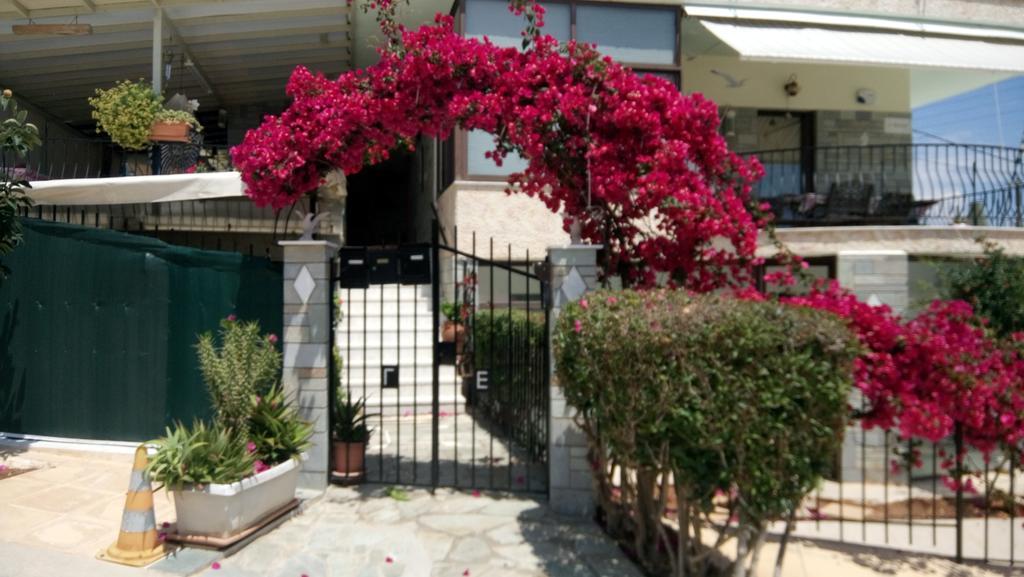 Villa George Néa Mákri Esterno foto