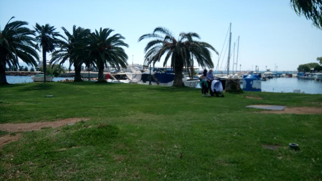 Villa George Néa Mákri Esterno foto
